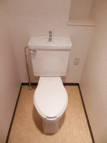 Toilet. It is a beautiful toilet