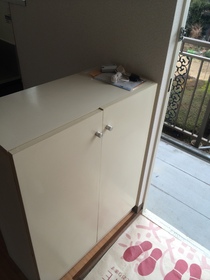 Entrance. Shoe box