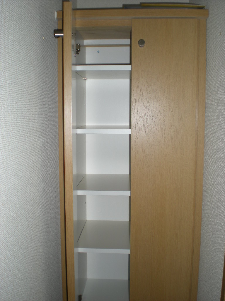 Entrance. Storage (shoe box)