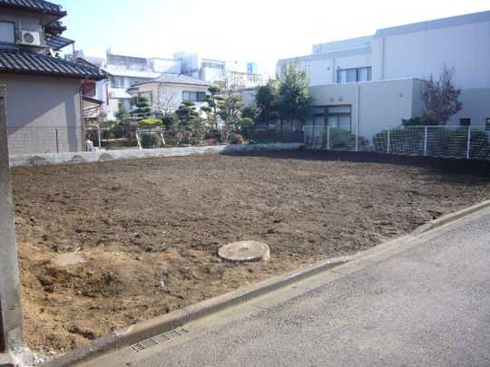 Local land photo. Appearance (1)