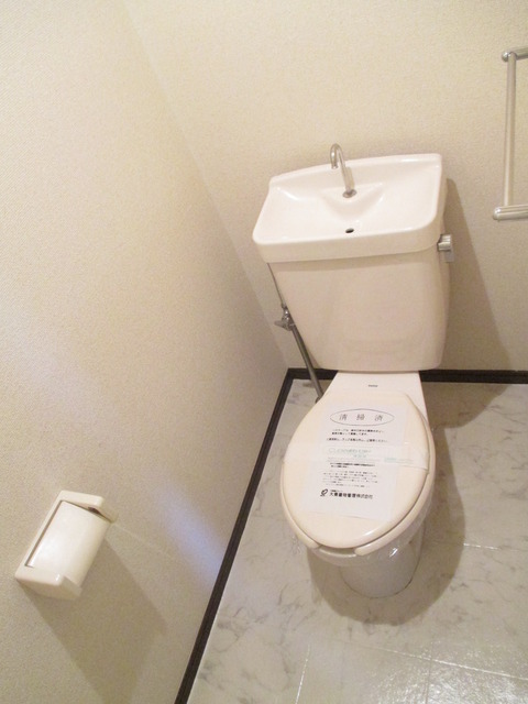 Toilet. Western-style toilet