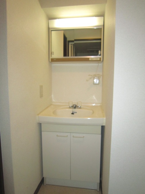 Washroom. Bathroom vanity