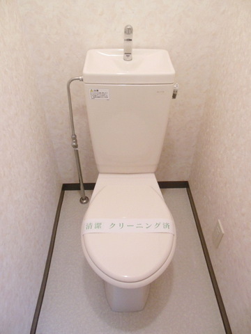Toilet. It is a beautiful toilet