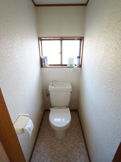 Toilet. Window with a Western-style toilet