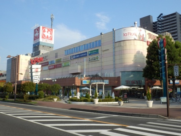 Supermarket. 495m to Tokyu Store Chain Hashimoto (super)