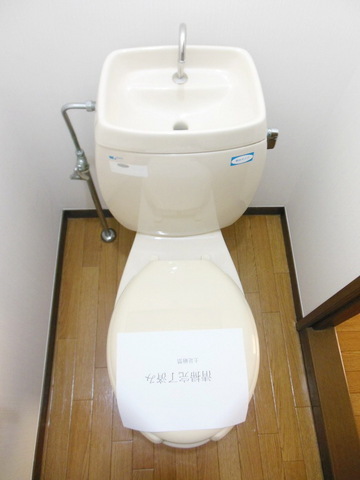 Toilet. It is a beautiful toilet