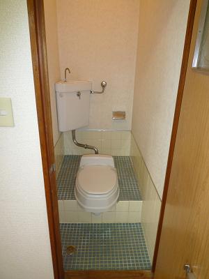 Toilet. Simple Western-style toilet installation