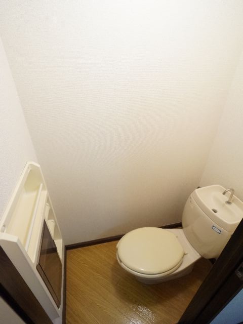 Toilet. Things enter there