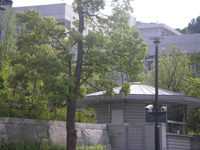 University ・ Junior college. Private Tama Art University (University ・ 1930m up to junior college)