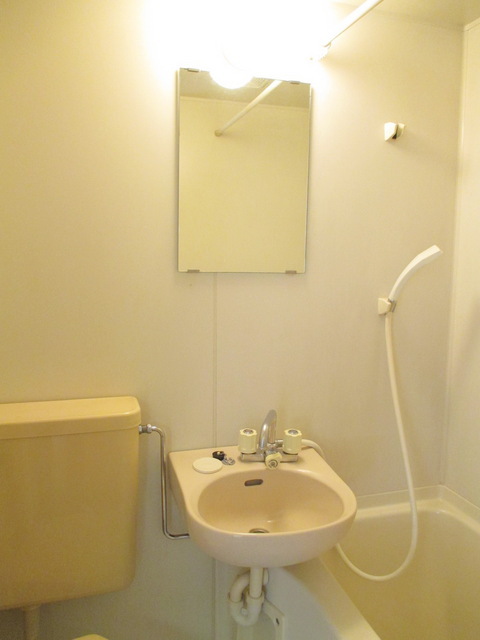 Washroom. Washbasin with a mirror