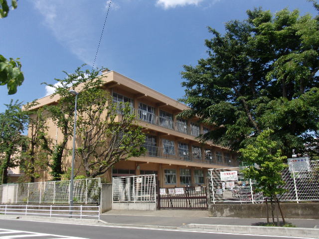 Primary school. Oak table 378m up to elementary school (elementary school)