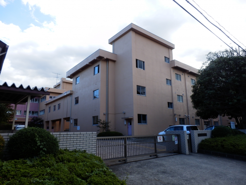 Primary school. Oak table 509m up to elementary school (elementary school)