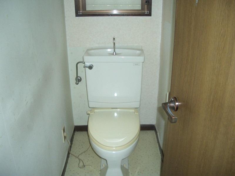 Toilet. First floor toilet