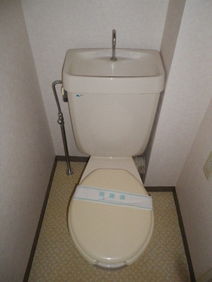 Toilet. Toilet