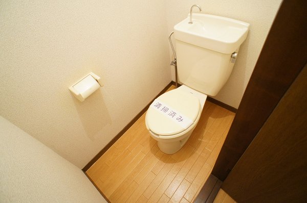 Toilet. Toilet