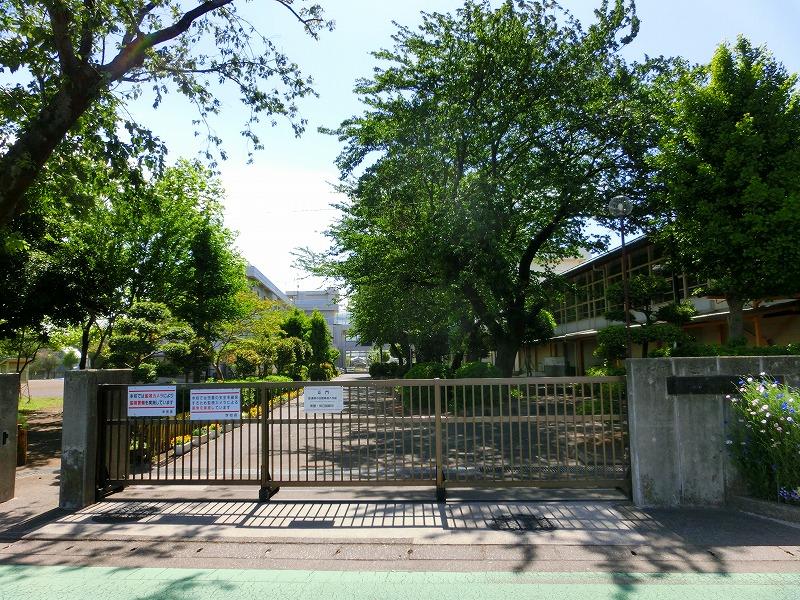 Primary school. 753m to Sagamihara Municipal Futaba Elementary School (elementary school)