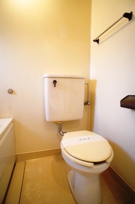 Toilet. Is a toilet with a clean feeling in the space in which the white-toned.