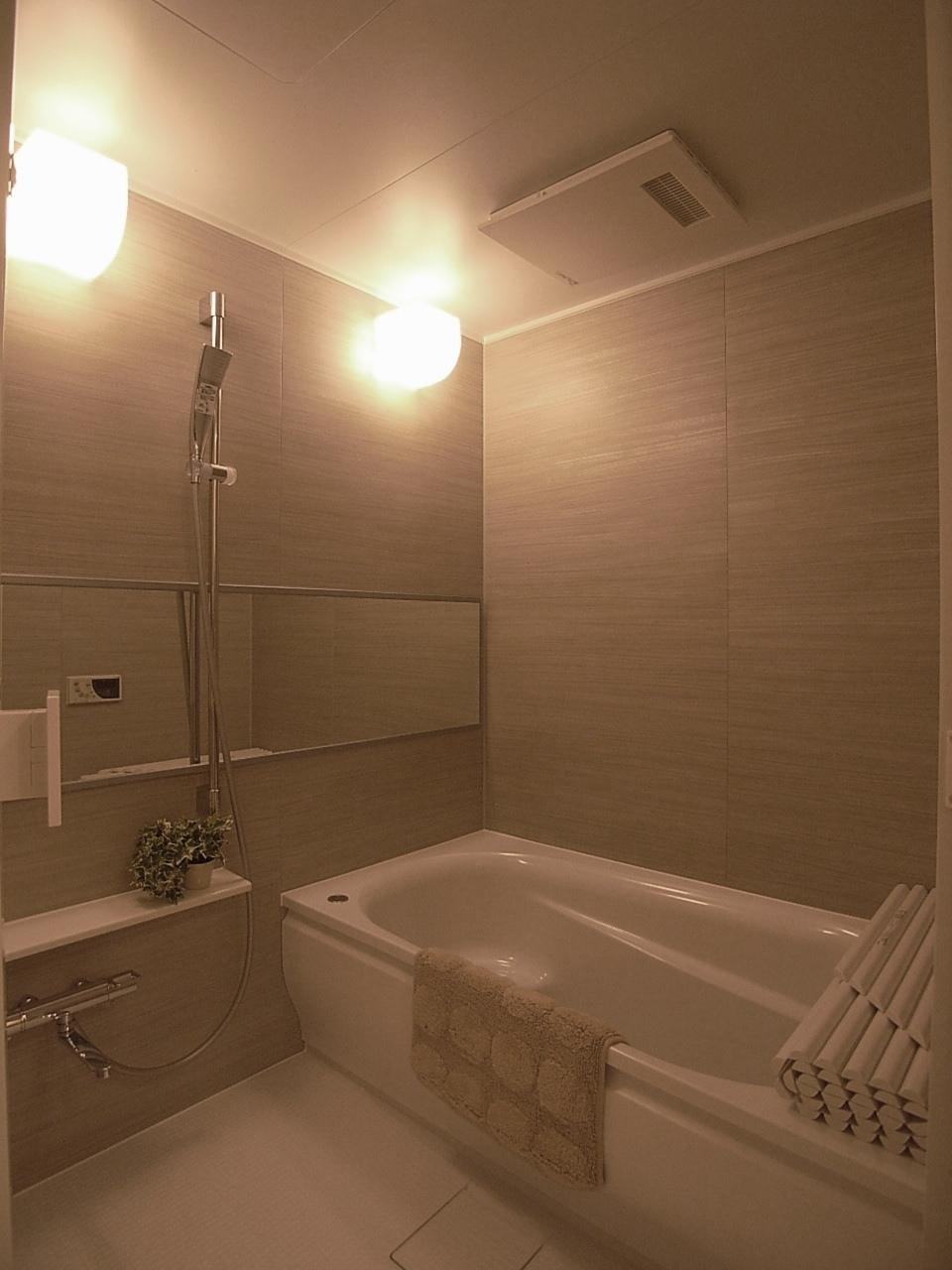 Bathroom. Indoor (10 May 2013) Shooting