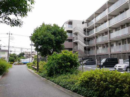 Local appearance photo