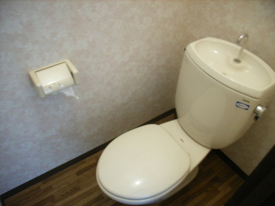 Toilet. Is a toilet with a clean feeling in the space in which the white-toned.