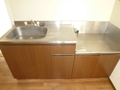 Kitchen. Spacious sink, It is popular with many families of washing!