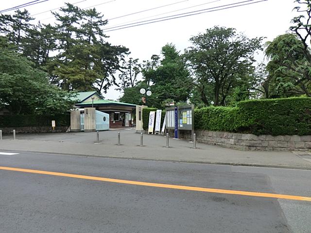 kindergarten ・ Nursery. Sagami Women's University to kindergarten 626m