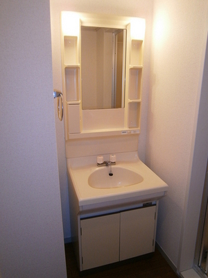 Washroom. Washroom (with separate wash basin)