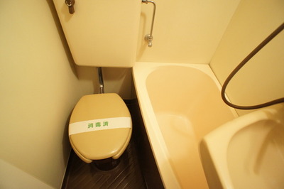 Toilet. A clean toilet