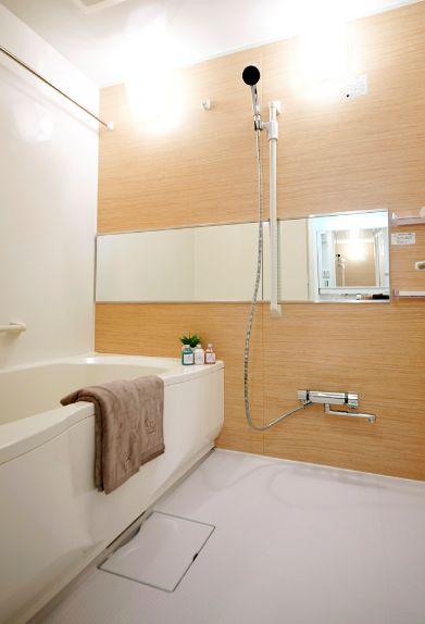 Bathroom. Bathroom is