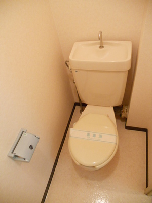 Toilet. Toilet