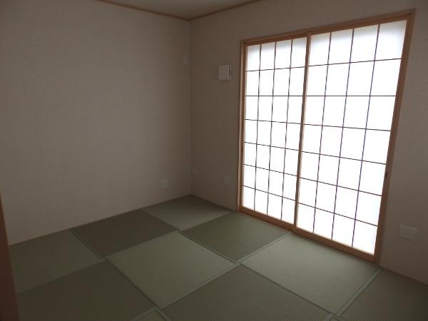 Other introspection. Indoor (10 May 2013) Shooting