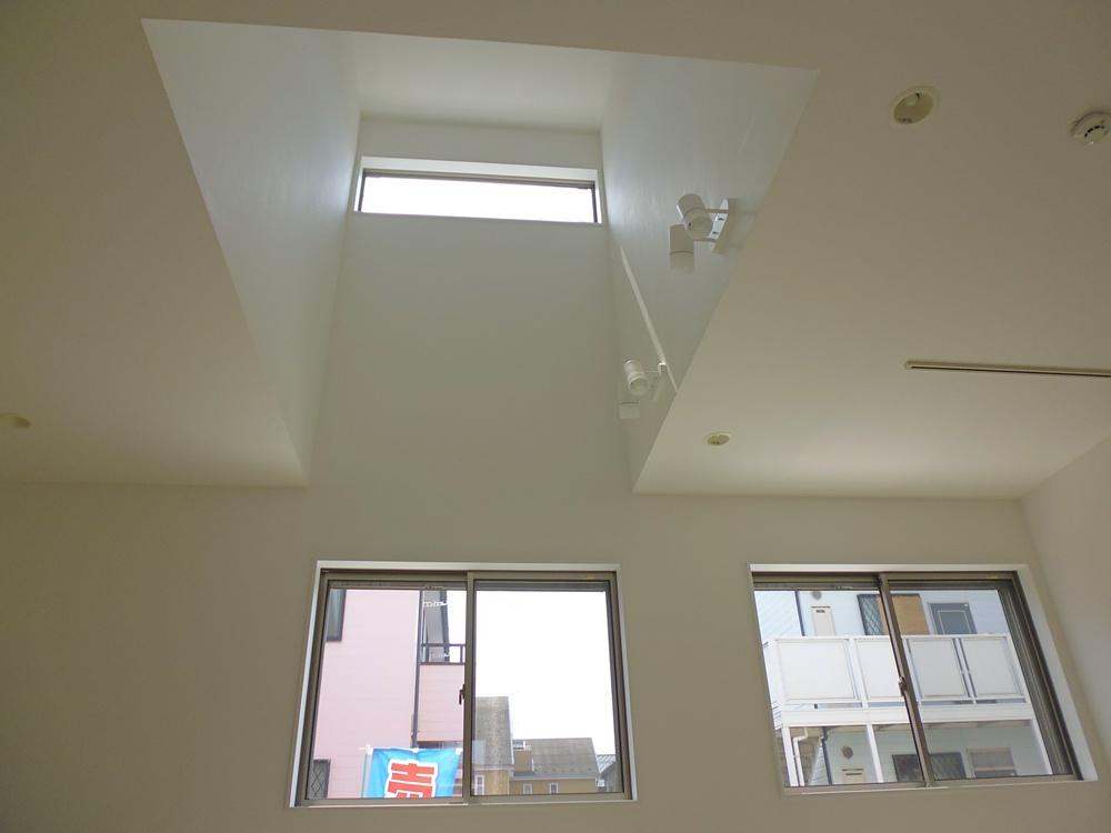 Other introspection. Atrium