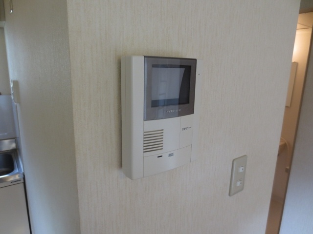 Security. Monitor with intercom