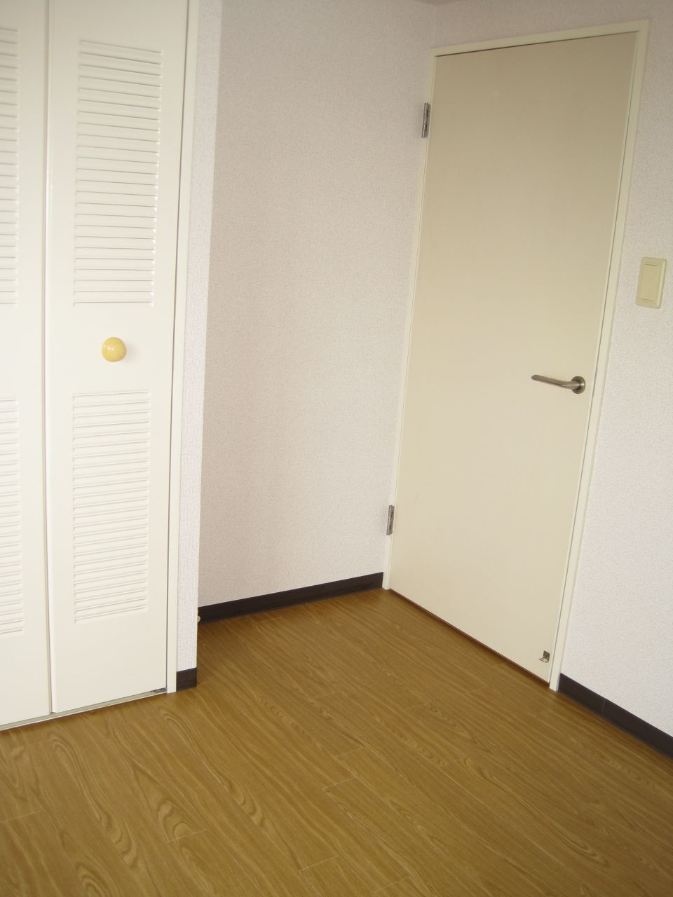 Other room space. 4.5 tatami Western-style closet