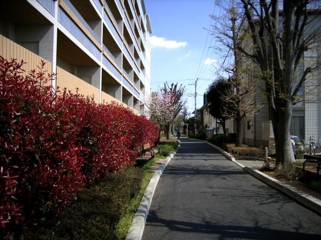 Local appearance photo