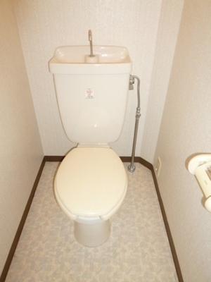 Toilet. Is a toilet with a clean feeling in the space in which the white-toned.