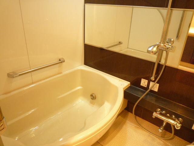 Bathroom. Indoor (12 May 2013) Shooting