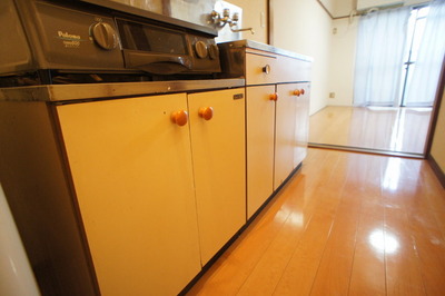 Kitchen. Is a convenient two-burner stove installed base of the kitchen towards the self-catering school. 