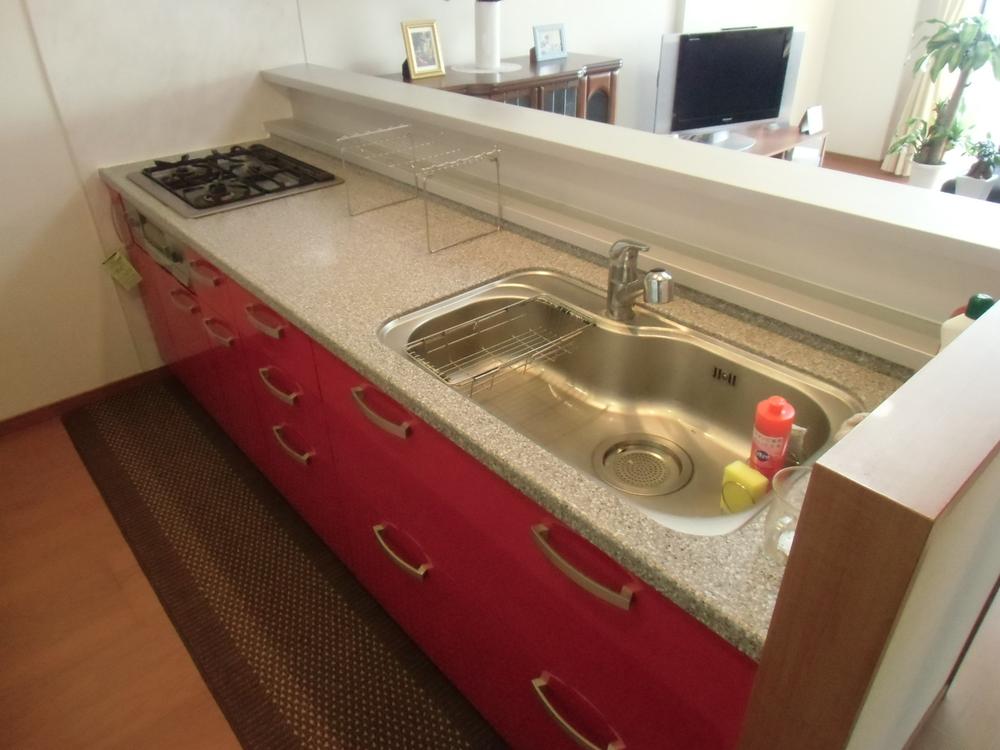 Kitchen. Indoor (11 May 2013) Shooting