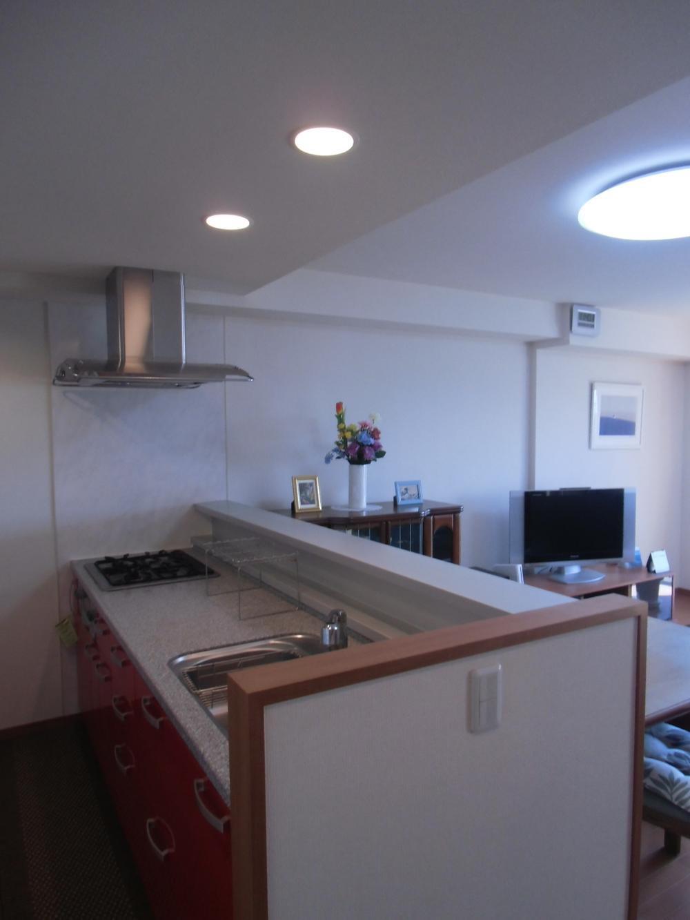 Kitchen. Indoor (11 May 2013) Shooting