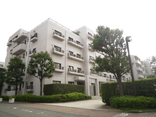 Local appearance photo. Local (September 2013) Shooting