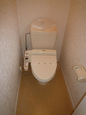 Toilet. With Washlet