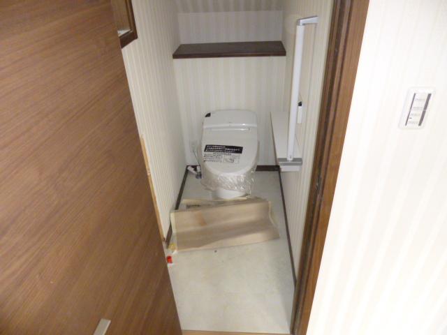 Toilet. Tankless toilet