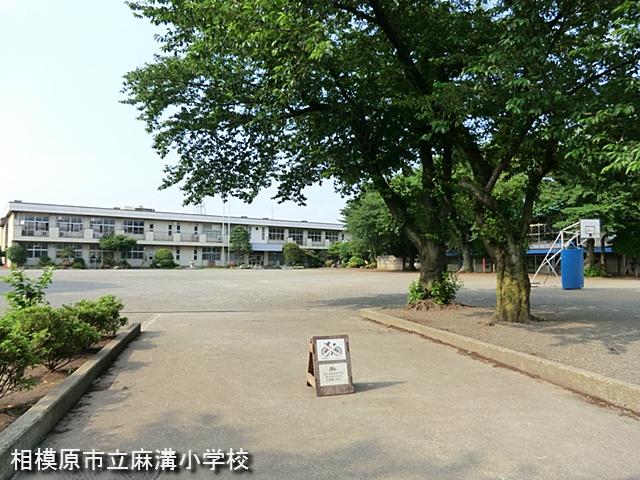 Primary school
