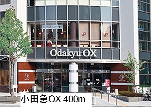 Supermarket. 400m to Odakyu OX (super)