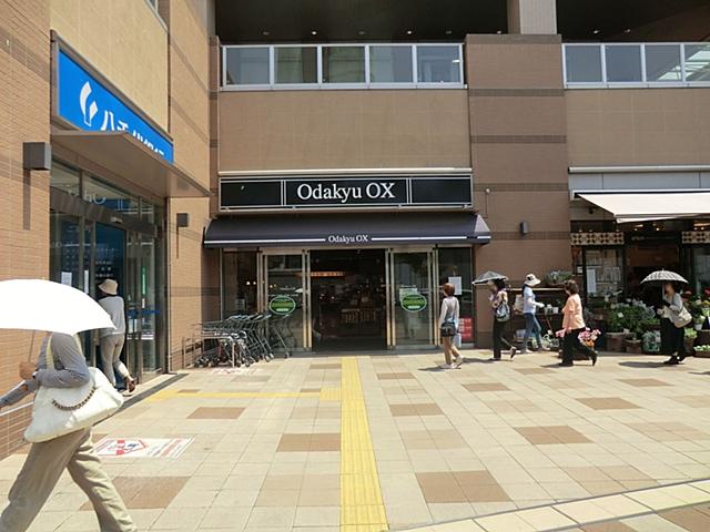 Supermarket. Odakyu OX 200m to Sagamihara store