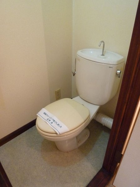 Toilet. Toilet