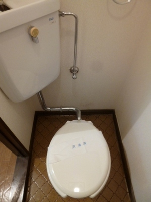 Toilet. It is unified calm space in white