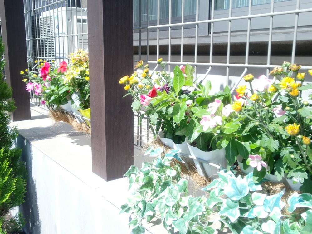 Other. The "green fence", It has provided a definitive rack small Ueki. Color is born to live and decorate flowers. (2013 September shooting)