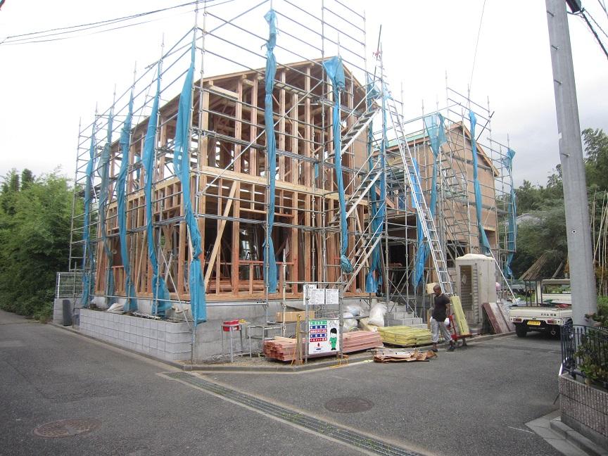 Local photos, including front road